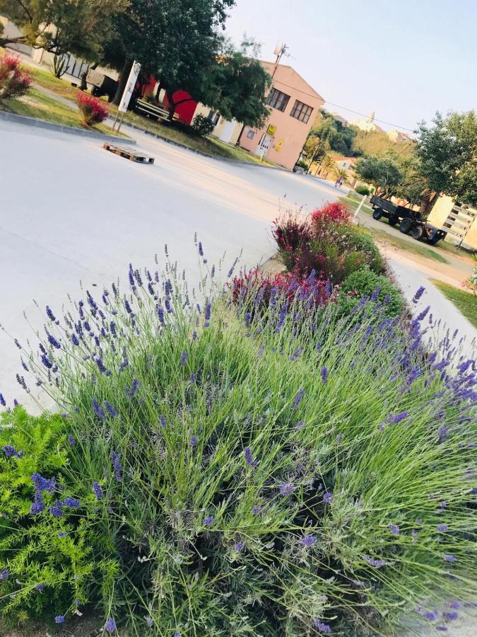 Vila Flora سوساك المظهر الخارجي الصورة