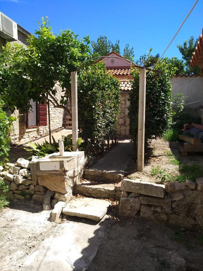 Vila Flora سوساك المظهر الخارجي الصورة